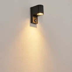 Applique Murale D'Exterieur Kingstown Anthracite, Transparent, 1 Lumiere, Detecteur De Mouvement