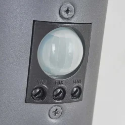 Applique Murale D'Exterieur Caserta Anthracite, 1 Lumiere, Detecteur De Mouvement