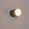 Applique Murale D'Exterieur Papagayos Led Anthracite, 1 Lumiere, Changeur De Couleurs