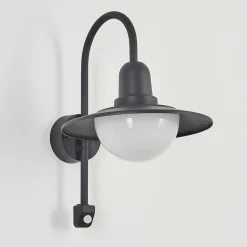 Applique Murale D'Exterieur Pohei Anthracite, 1 Lumiere, Detecteur De Mouvement