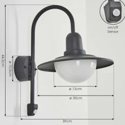Applique Murale D'Exterieur Pohei Anthracite, 1 Lumiere, Detecteur De Mouvement