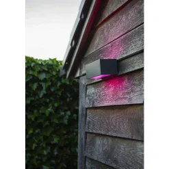 Applique Murale D'Exterieur Lutec Gemini Led Anthracite, 2 Lumieres, Changeur De Couleurs