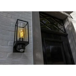 Applique Murale D'Exterieur Lutec Flair Noir, 1 Lumiere, Detecteur De Mouvement