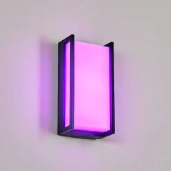 Applique Murale D'Exterieur Skove Led Anthracite, 1 Lumiere, Changeur De Couleurs