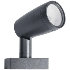 Applique Murale D'Exterieur Ledvance Garden Spot Gris, 1 Lumiere, Changeur De Couleurs