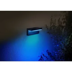 Applique Murale D'Exterieur Philips Hue Nyro Led Noir, 1 Lumiere, Changeur De Couleurs