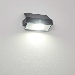 Applique Murale D'Exterieur Wiborg Led Anthracite, 1 Lumiere, Detecteur De Mouvement