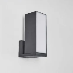 Applique Murale D'Exterieur Swanek Led Anthracite, 1 Lumiere