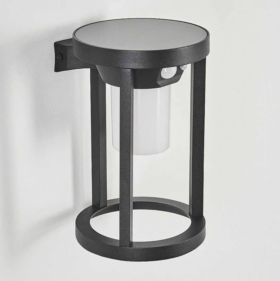 Applique Murale D'Exterieur Lokpano Led Noir, 1 Lumiere, Detecteur De Mouvement, Changeur De Couleurs