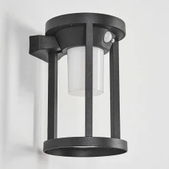 Applique Murale D'Exterieur Lokpano Led Noir, 1 Lumiere, Detecteur De Mouvement, Changeur De Couleurs