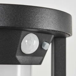 Applique Murale D'Exterieur Lokpano Led Noir, 1 Lumiere, Detecteur De Mouvement, Changeur De Couleurs