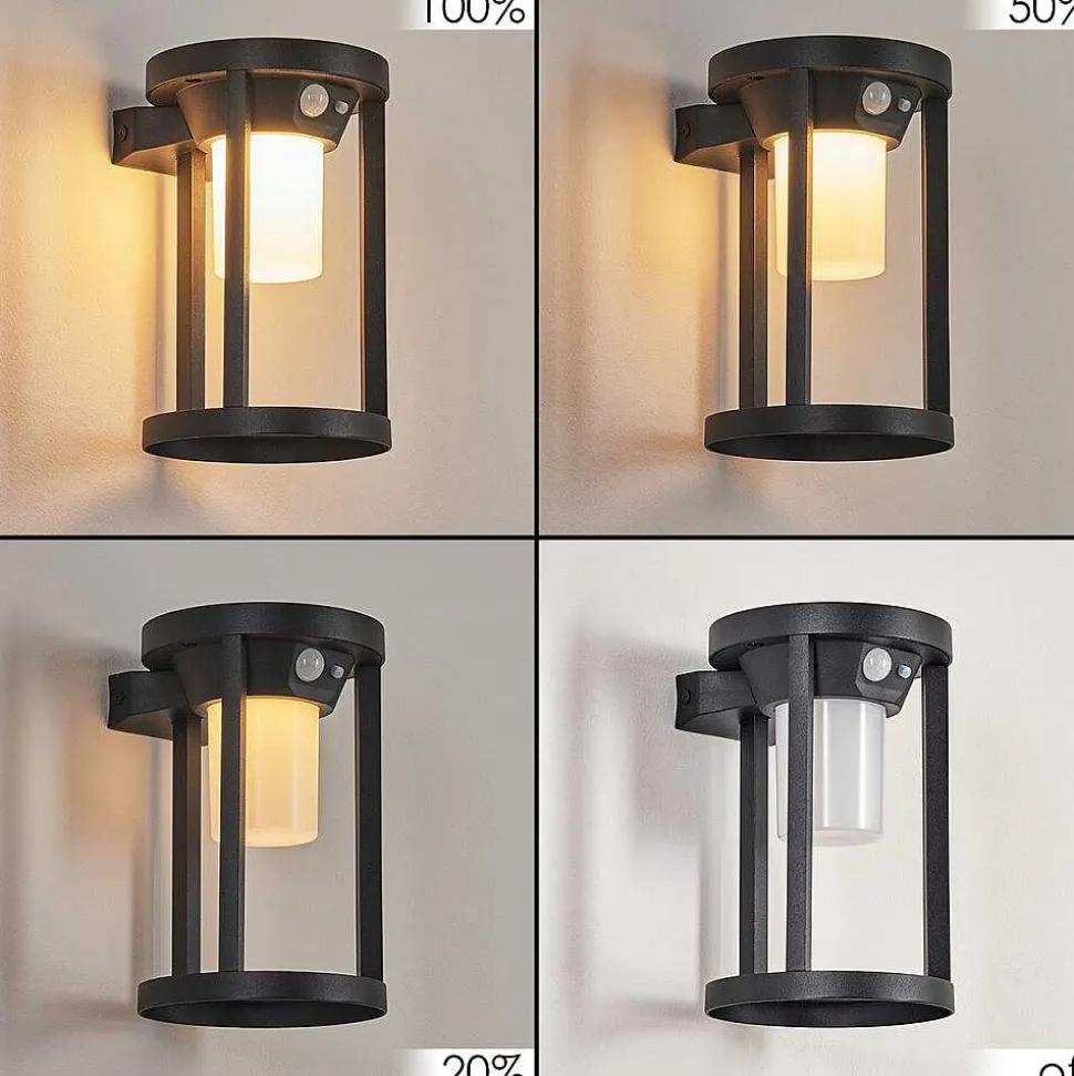 Applique Murale D'Exterieur Lokpano Led Noir, 1 Lumiere, Detecteur De Mouvement, Changeur De Couleurs
