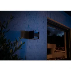 Applique Murale Philips Hue White Fuzo Led Noir, 1 Lumiere