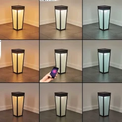 Borne Lumineuse Begg Led Noir, 1 Lumiere, Detecteur De Mouvement, Changeur De Couleurs