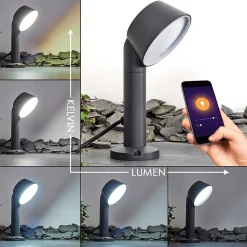 Borne Lumineuse Moroni Led Anthracite, 1 Lumiere