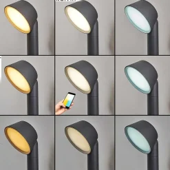 Borne Lumineuse Moroni Led Anthracite, 1 Lumiere