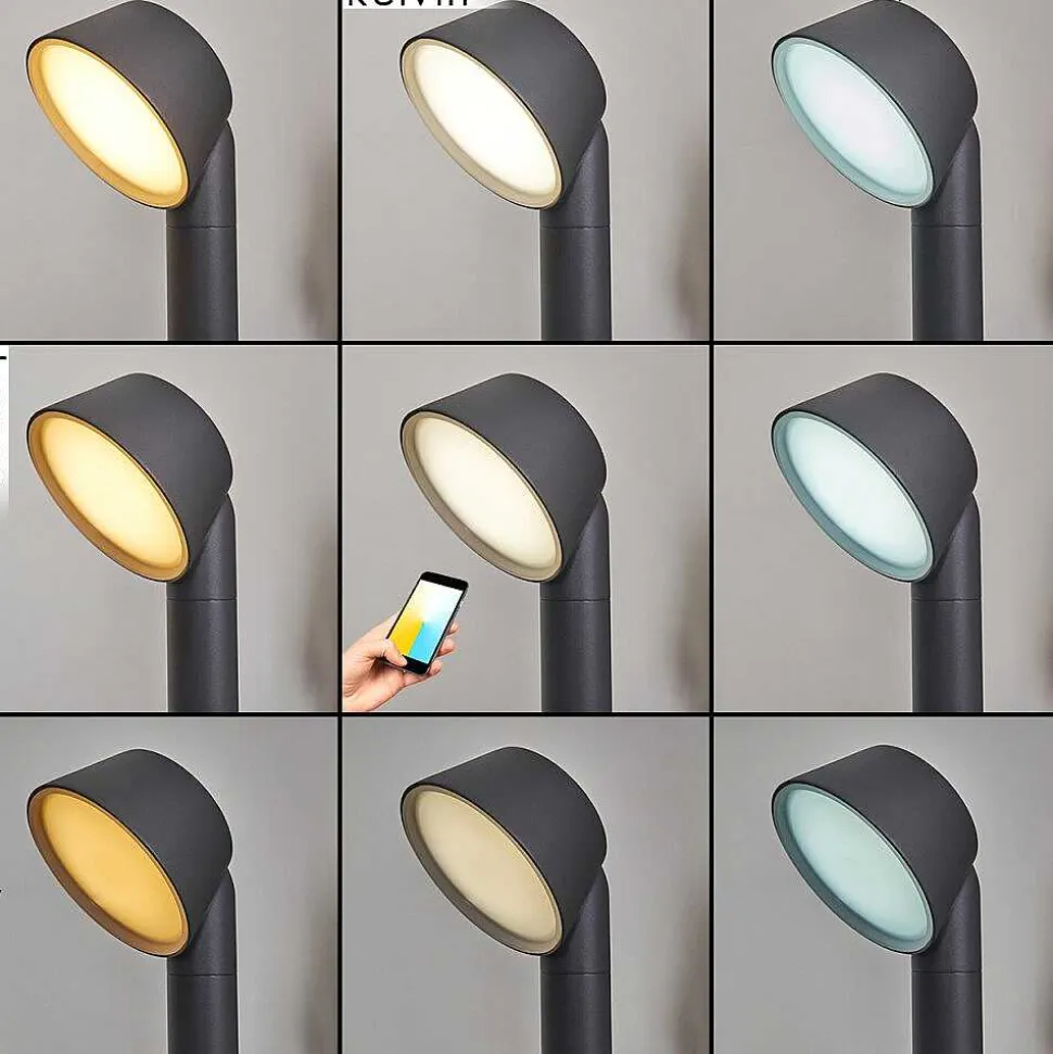 Borne Lumineuse Moroni Led Anthracite, 1 Lumiere