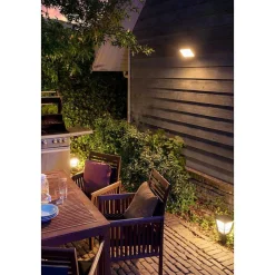 Borne Lumineuse Philips Hue Ambiance White & Color Econic Led Noir, 1 Lumiere, Changeur De Couleurs