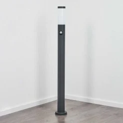 Borne Lumineuse Sessa Anthracite, 1 Lumiere, Detecteur De Mouvement