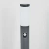 Borne Lumineuse Sessa Anthracite, 1 Lumiere, Detecteur De Mouvement