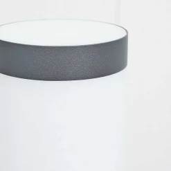 Borne Lumineuse Sessa Anthracite, 1 Lumiere, Detecteur De Mouvement