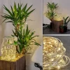 Guirlande Solaire Pistoia Led Blanc, 120 Lumieres