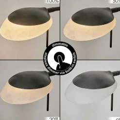 Lampadaire Biot Led Noir, 2 Lumieres