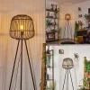 Lampadaire Combeima Noir, 1 Lumiere
