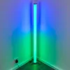 Lampadaire Led Rgb Globo Rocky Argente, 1 Lumiere, Telecommandes, Changeur De Couleurs