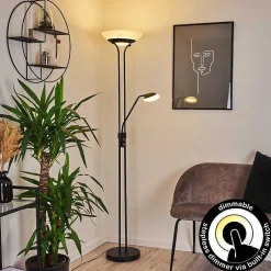 Lampadaire Mairoa Led Noir, 2 Lumieres