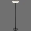 Lampadaire Paul Neuhaus Q-Etienne Led Noir, 1 Lumiere, Telecommandes