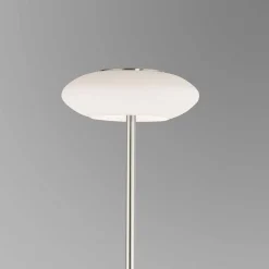 Lampadaire Paul Neuhaus Q-Etienne Led Acier Brosse, 1 Lumiere, Telecommandes