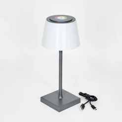 Lampe A Poser Burzaco Led Anthracite, 1 Lumiere, Changeur De Couleurs