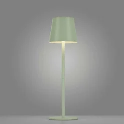 Lampe A Poser Leuchten-Direkt Euria Led Vert, 1 Lumiere