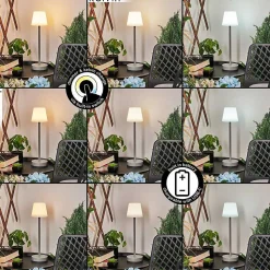 Lampe A Poser Maza Led Gris, 1 Lumiere