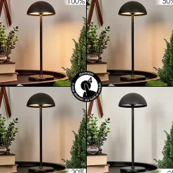 Lampe A Poser Pelaro Led Noir, 1 Lumiere