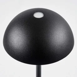 Lampe A Poser Pelaro Led Noir, 1 Lumiere