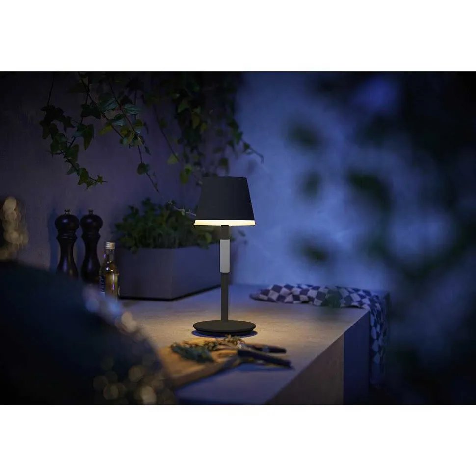 Lampe A Poser Philips Hue Go Led Gris, Noir, 1 Lumiere, Changeur De Couleurs