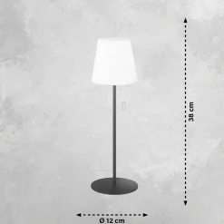 Lampe A Poser Schoner Wohnen-Kollektion Talent Led Anthracite, 1 Lumiere, Telecommandes, Changeur De Couleurs