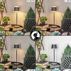 Lampe A Poser Walt Led Anthracite, 1 Lumiere