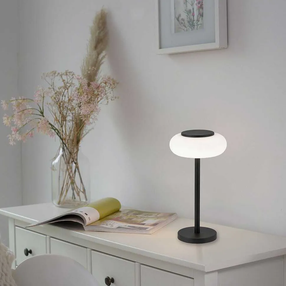 Lampe De Table Paul Neuhaus Q-Etienne Led Noir, 1 Lumiere, Telecommandes