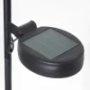 Lampe Solaire Rovinj Led Anthracite, Cuivre, 1 Lumiere