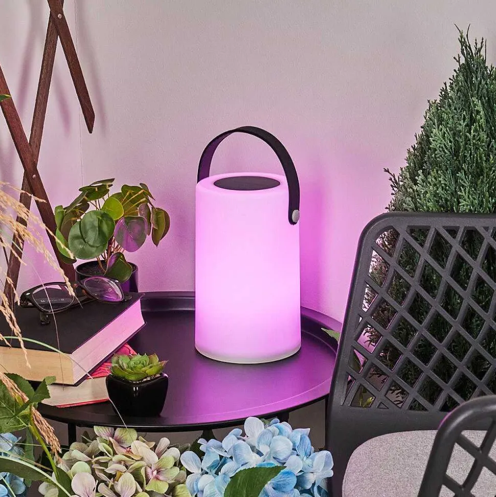 Lampe Solaires Acebal Led Noir, Blanc, 1 Lumiere, Changeur De Couleurs