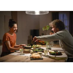 Led E27 15,5 Watt 2200 - 6500 Kelvin 1100 Lumen Philips Hue White
