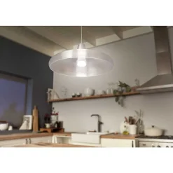 Led E27 15,5 Watt 2200 - 6500 Kelvin 1100 Lumen Philips Hue White