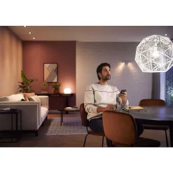 Led E27 9,5 Watt 2700 Kelvin 1055 Lumen Philips Hue White
