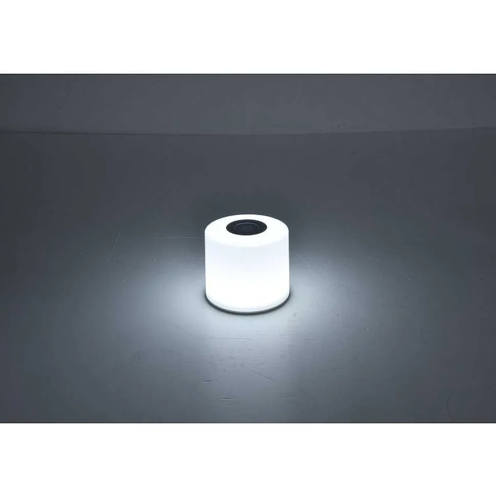 Lot De 2 Lampes Solaires Lutec Noma Led Blanc, 2 Lumieres, Changeur De Couleurs
