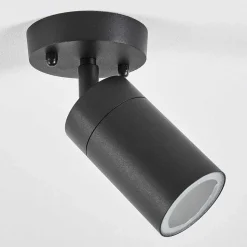 Plafonnier Exterieur Bessiebelle Noir, Blanc, 1 Lumiere