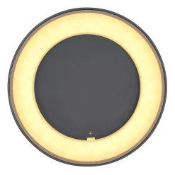 Plafonnier Exterieur Globo Sura Led Anthracite, 1 Lumiere