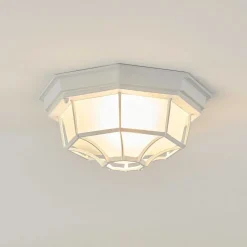 Plafonnier Exterieur Ibacache Blanc, 1 Lumiere